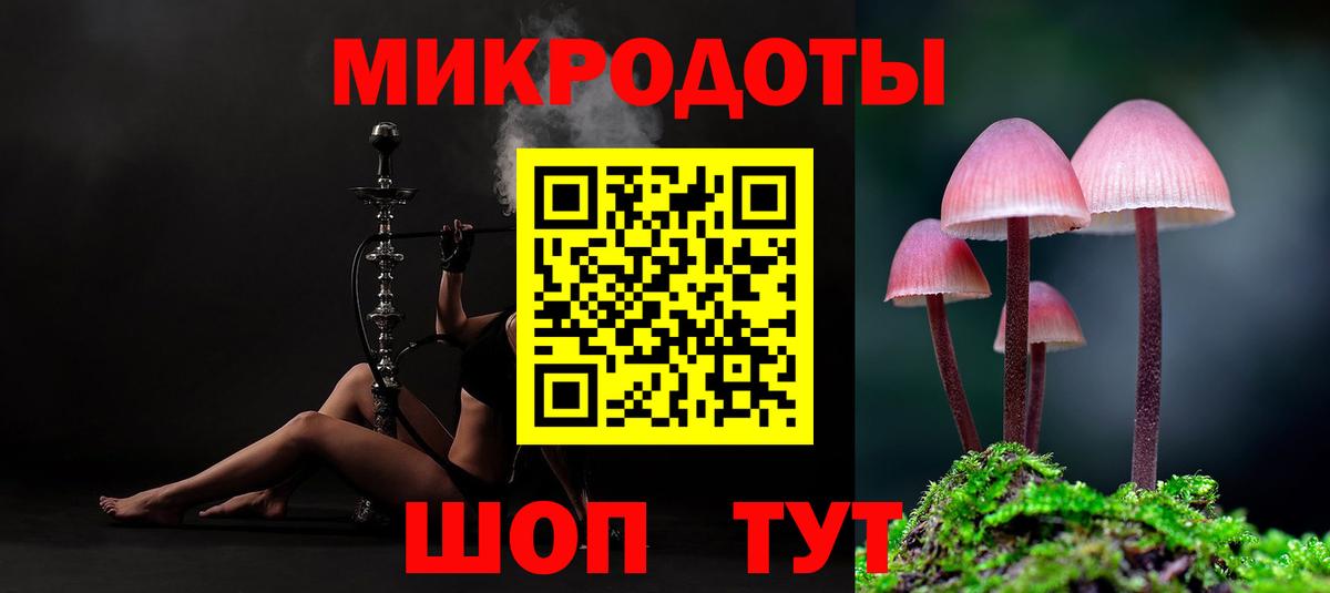 Галлюциногенные грибы Psilocybine cubensis Волжск