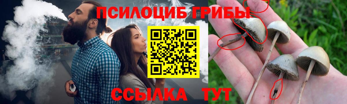 Галлюциногенные грибы GOLDEN TEACHER  Вход с VPN  Псилоцибиновые грибы Psilocybine cubensis  Волжск 